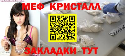 прущие грибы Гатчина