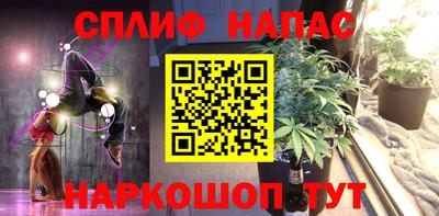прущие грибы Гатчина