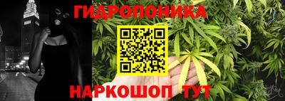 прущие грибы Гатчина