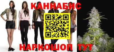 прущие грибы Гатчина
