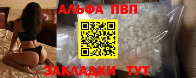 прущие грибы Гатчина