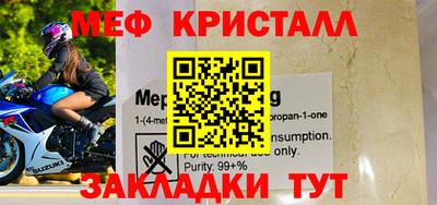 прущие грибы Гатчина