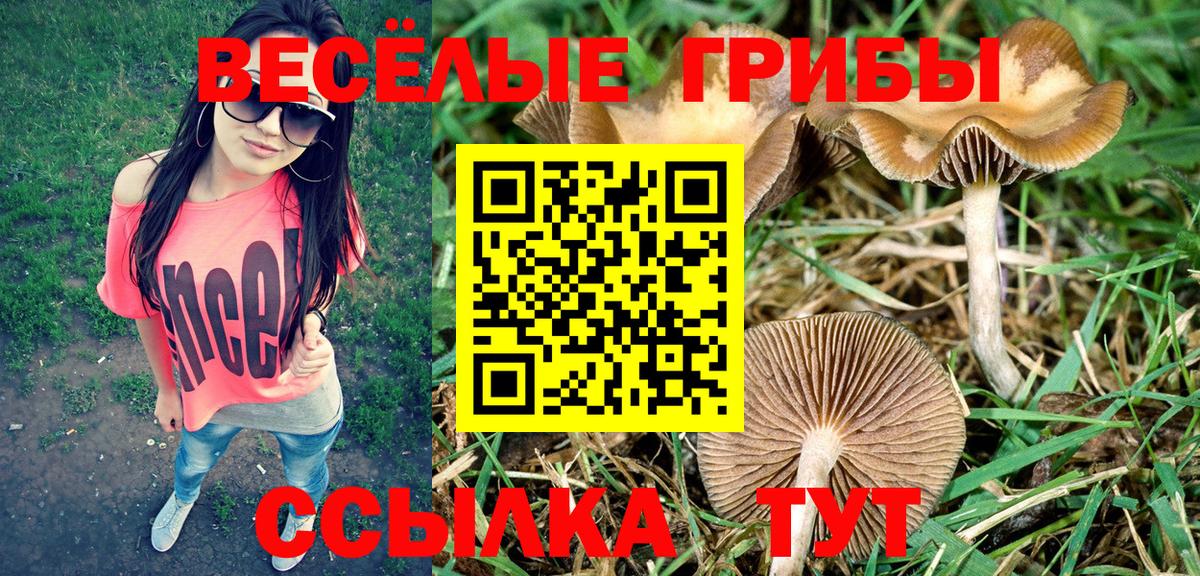 Псилоцибиновые грибы MAGIC MUSHROOMS Дальнереченск