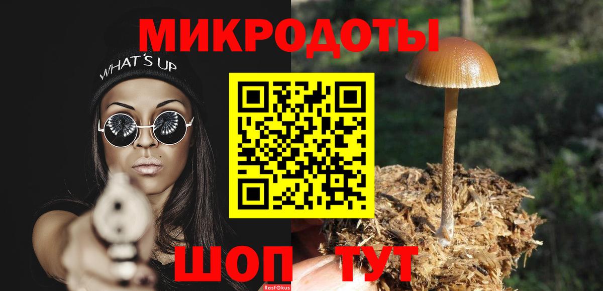 Дальнереченск  Галлюциногенные грибы прущие грибы  Вход с VPN  Псилоцибиновые грибы Psilocybine cubensis 